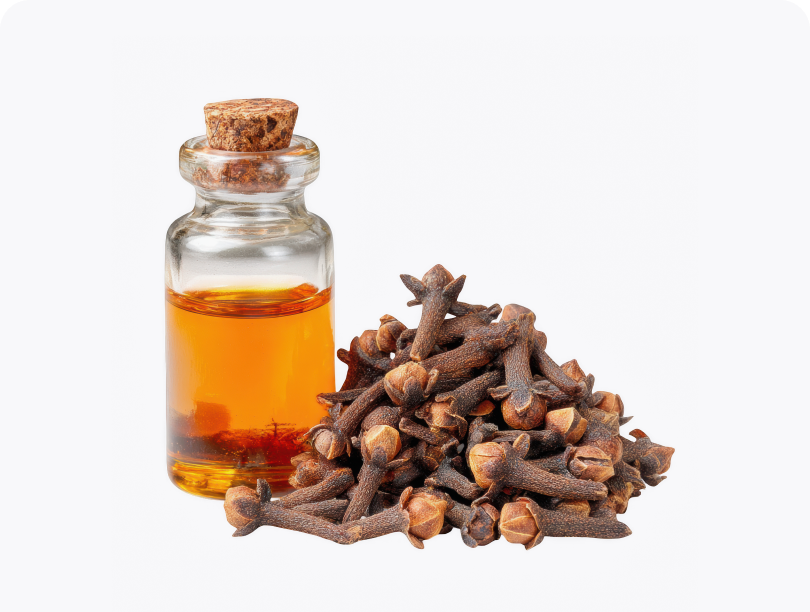 Clove Bud Oil