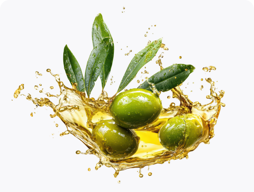 Olive Fruit Oil
