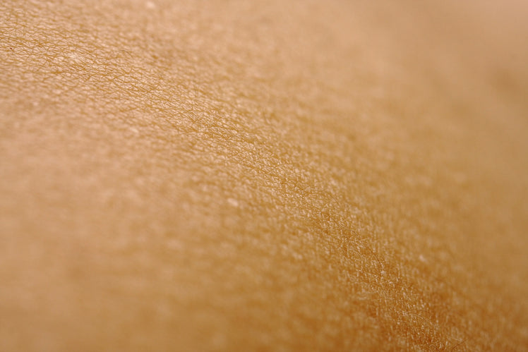 Close-up of healthy skin texture